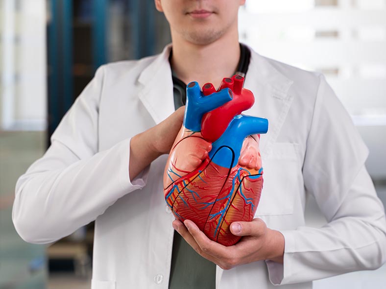 Cómo cuidar la salud cardiovascular en el día a día