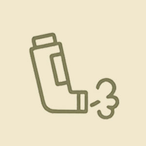 servicios farmaceuticos farmacia garrapinillos terapia inhalada